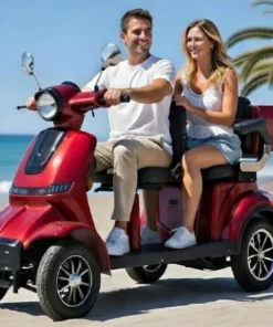 Rent Two Seater - Dev
